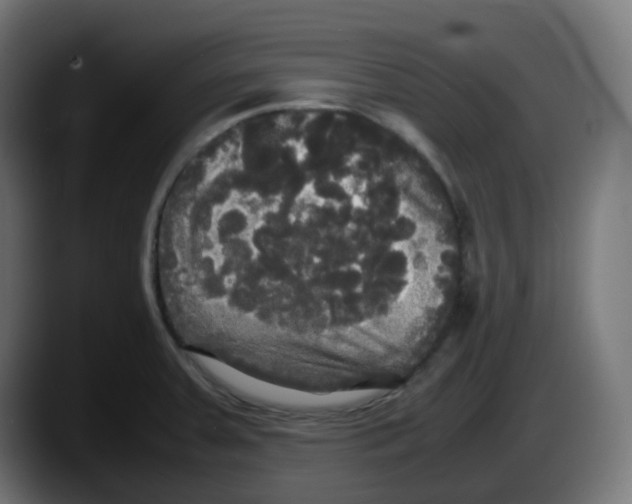 X0000087541379200705251711