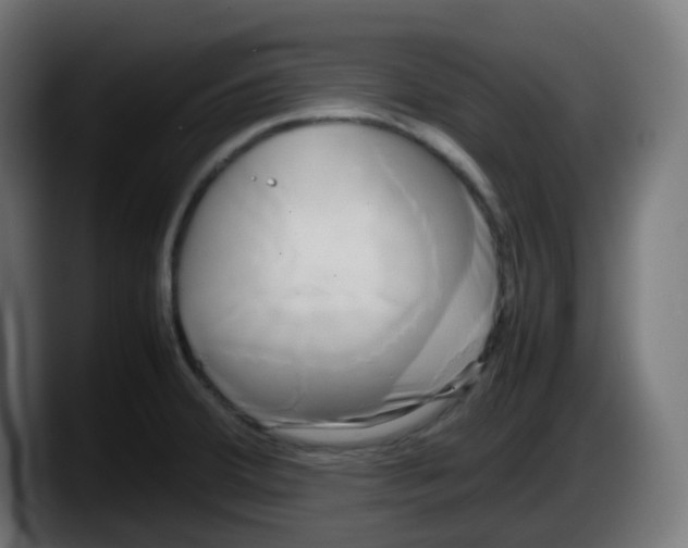 X0000087541380200705251711