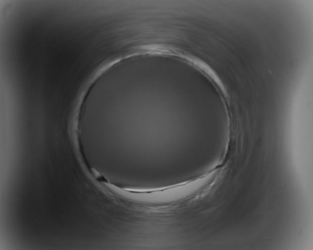 X0000087541381200705251711