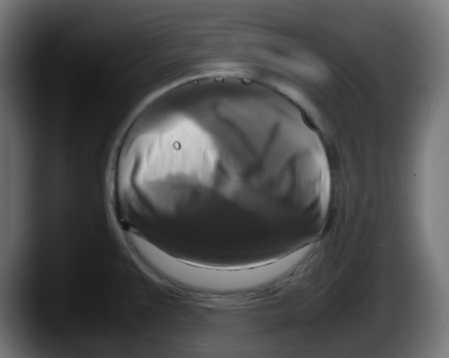 X0000087541383200705251711