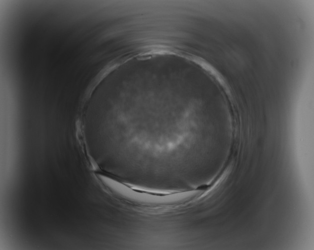 X0000087541385200705251711