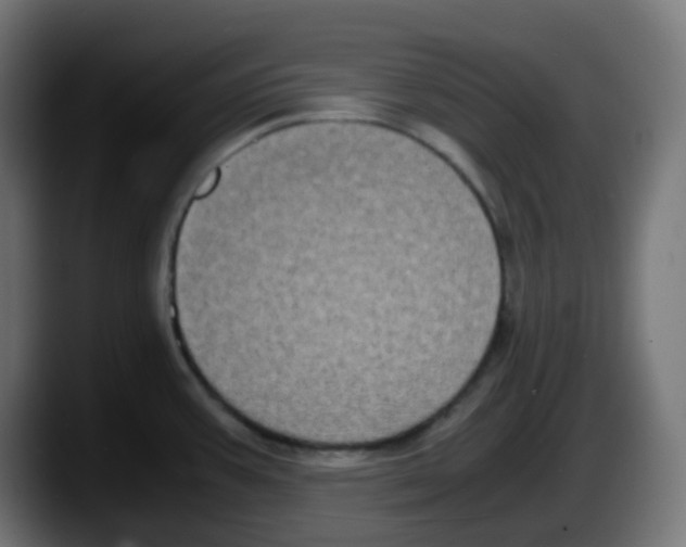 X0000087541387200705251711