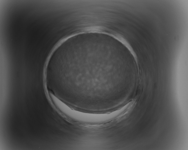 X0000087541389200705251711