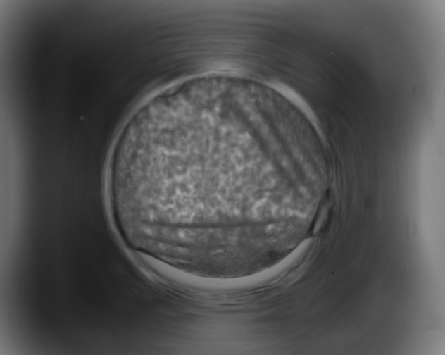 X0000087541391200705251711