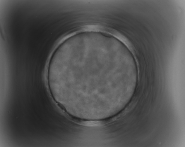 X0000087541392200705251711