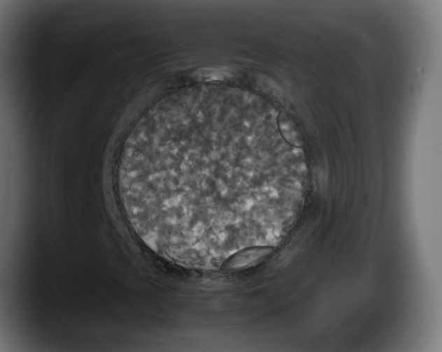 X0000087541393200705251710