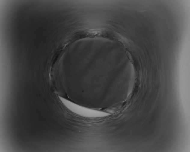 X0000087541394200705251710