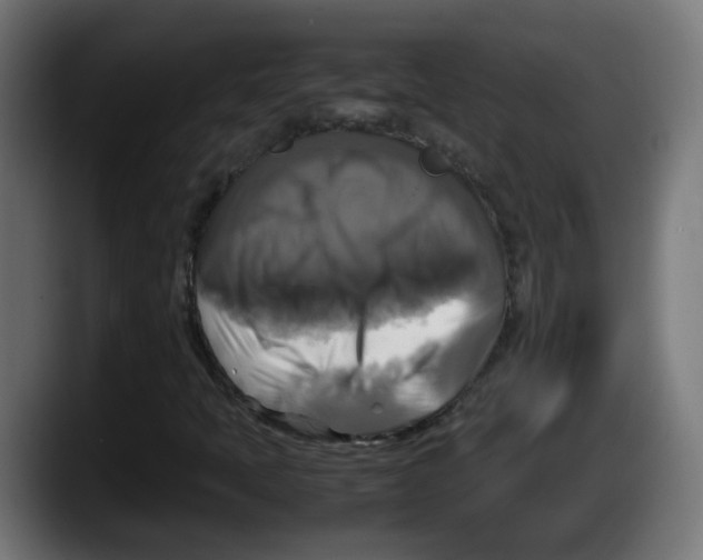 X0000087541397200705251710