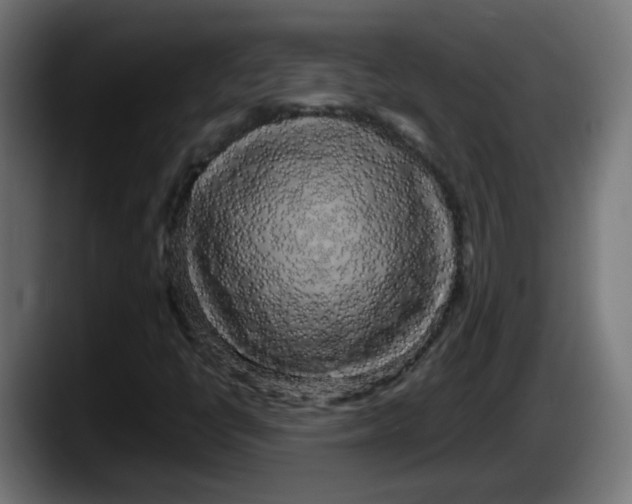 X0000087541398200705251710