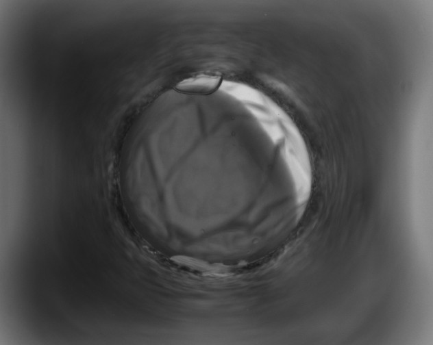 X0000087541399200705251710