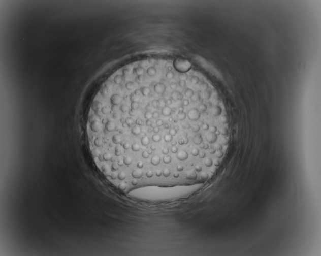 X0000087541400200705251710