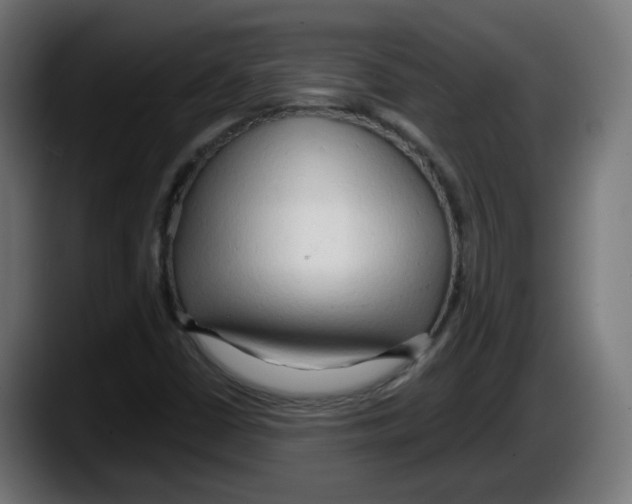 X0000087541402200705251710