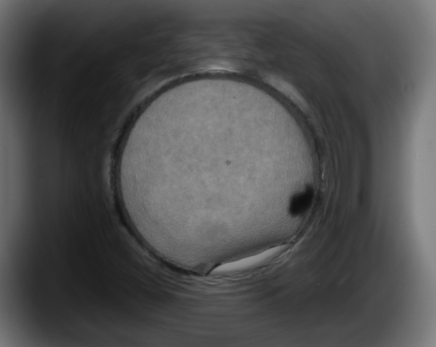 X0000087541404200705251710