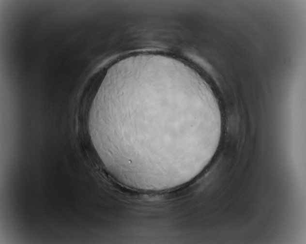 X0000087541407200705251710