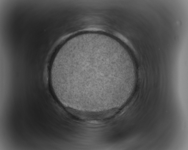 X0000087541408200705251710