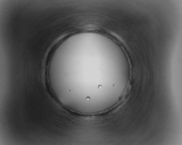 X0000087541410200705251710