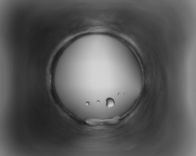 X0000087541414200705251710