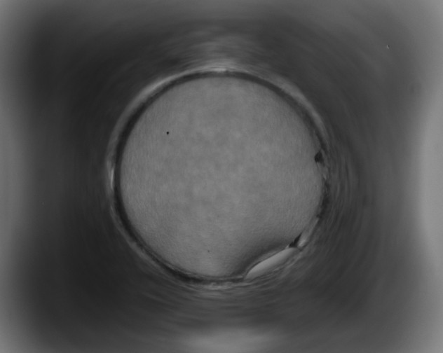 X0000087541416200705251710