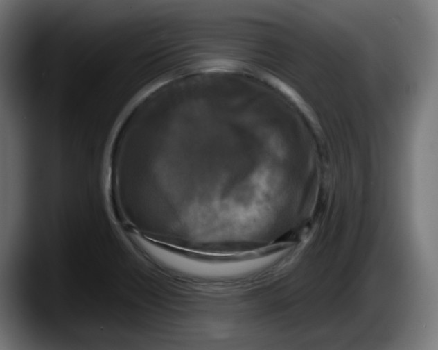 X0000087541418200705251710