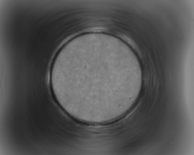 X0000087541420200705251711