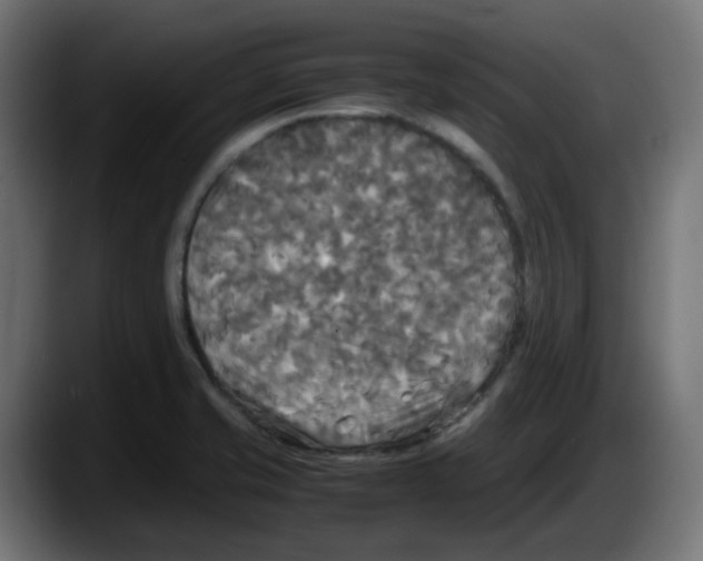 X0000087541421200705251711