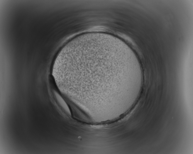 X0000087541422200705251711