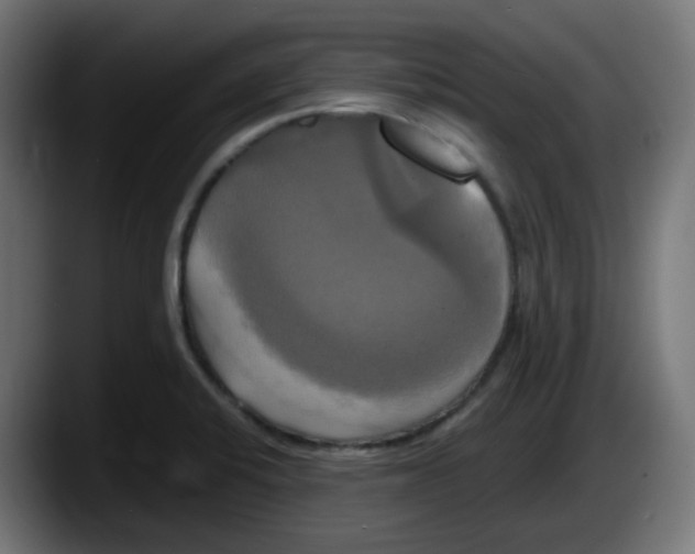 X0000087541424200705251711