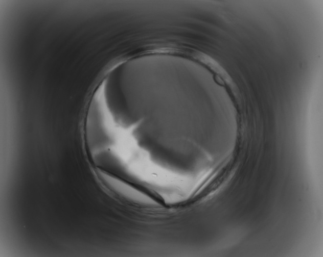 X0000087541425200705251711