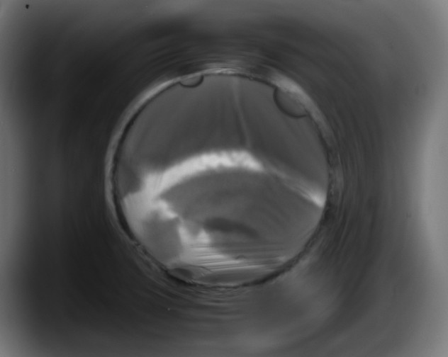 X0000087541427200705251711