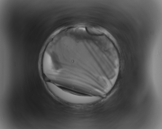 X0000087541429200705251711