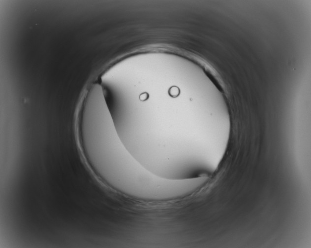 X0000087541430200705251711