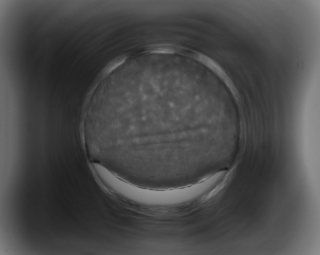 X0000087541433200705251711