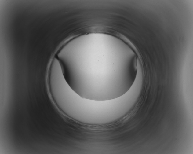 X0000087541434200705251711