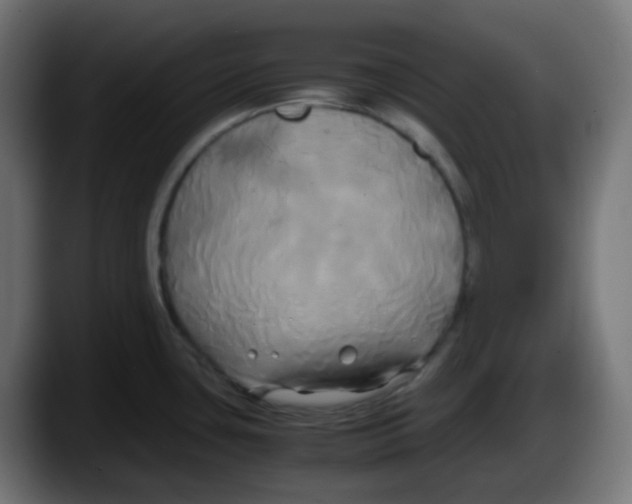 X0000087541435200705251711