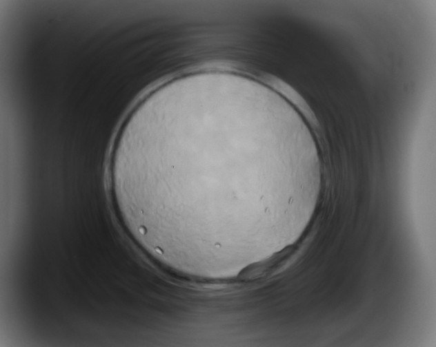 X0000087541436200705251711