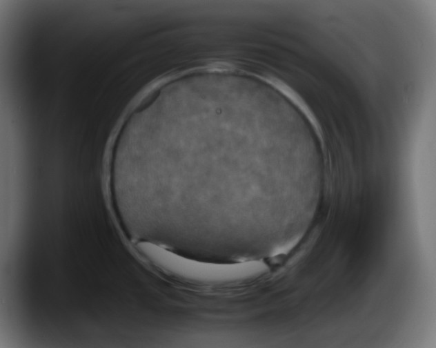 X0000087541437200705251711