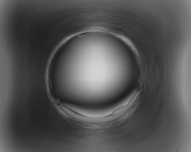 X0000087541438200705251711