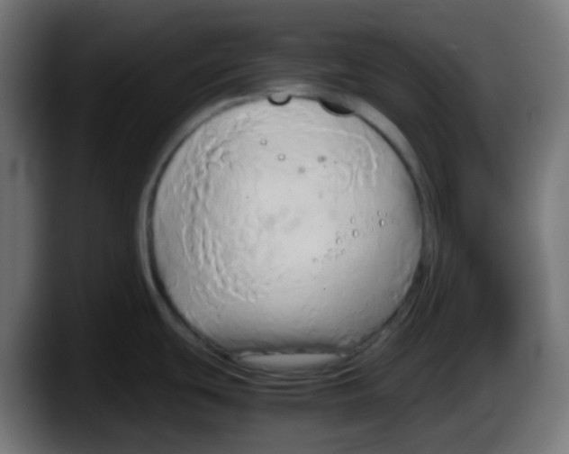 X0000087541439200705251711