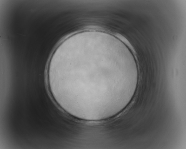 X0000087541440200705251711