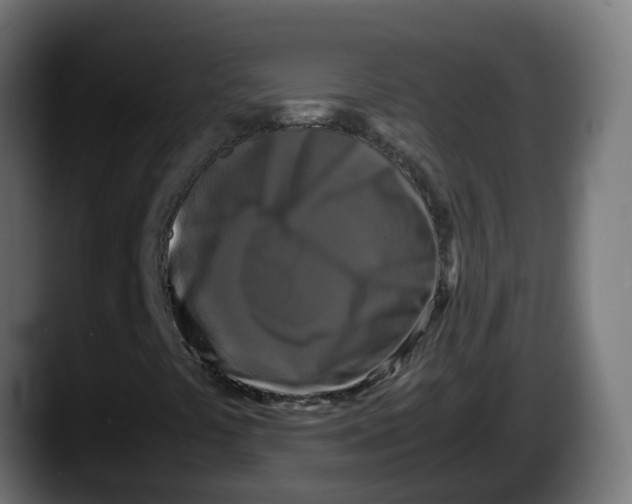 X0000087541441200705251710