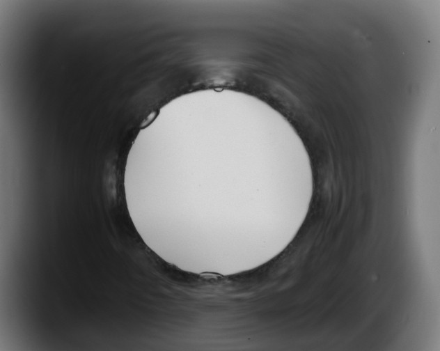 X0000087541442200705251710