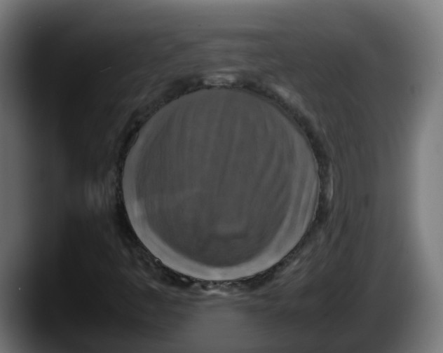 X0000087541445200705251710