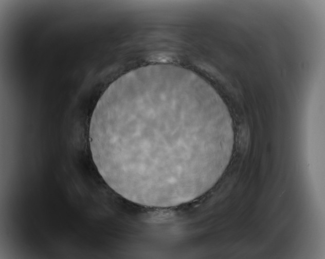 X0000087541446200705251710