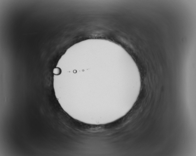 X0000087541447200705251710