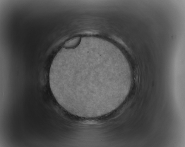 X0000087541448200705251710