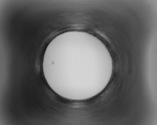 X0000087541451200705251710