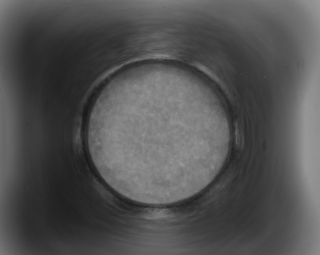 X0000087541452200705251710