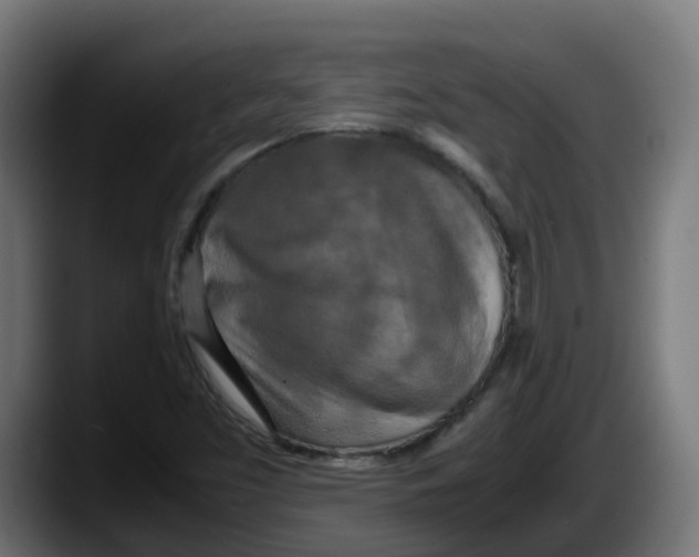 X0000087541453200705251710