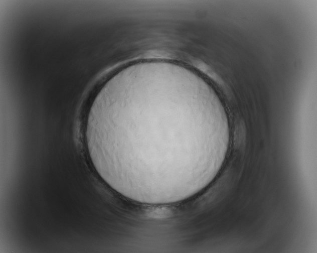 X0000087541454200705251710