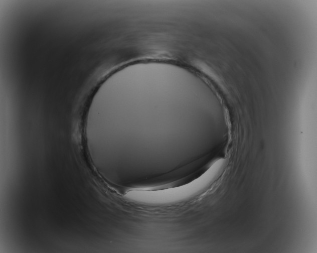 X0000087541455200705251710